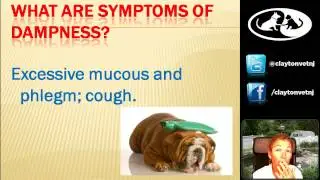 Draining Damp and Pet Foods with Dr. Morgan-Webinar 10