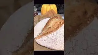 Romanian House Bread (Paine de casa): An Easy Rustic Recipe