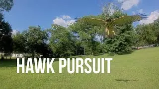 GEPRC Leopard Maiden Flight + Hawk attack