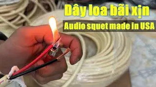 D&acirc;y loa audio quest l&otilde;i 2.0 gi&aacute; tốt