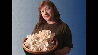 Let's Grow Mushrooms! 2.1 - Cloning Mushroom Tissue