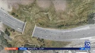 Wildlife bridge to break ground in April