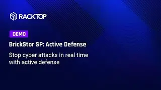 BrickStor SP: Active Cyber Defense Against Ransomware