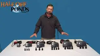 Minnow Small Indoor and Outdoor Submersible Pumps