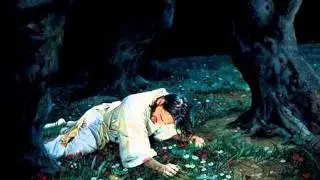 Jesus The Christ by James E. Talmage