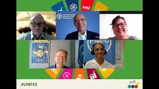 🌍UNFSS Pre-Summit - IPIFF affiliated session 'The contribution of insect farming to UN SDGs'