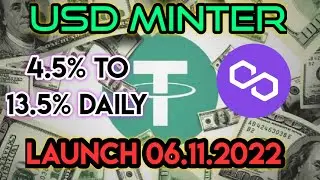 USD Minter / Wealth Mountain fork - Polygon network