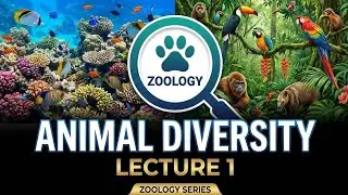 Zoology | Animal Diversity - Lecture 01 | Animal Evolution & Innovations in Body Plan