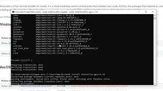 HOW TO: Train Nvidia StyleGAN | Marek Bul&iacute;ř