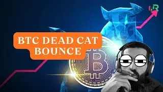 2026. DEAD CAT BOUNCE YEAR. BTC TO 98K ? NQ BELOW THE BULL LEVEL