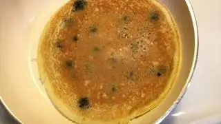 Medium Zach - Pancake