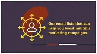 South America IT Decision Makers Business Email List Providers