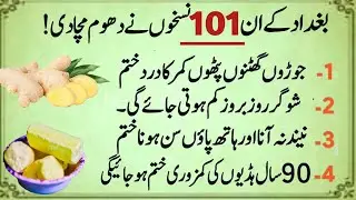 Motivational Islamic Quotes/Quotes About life |Golden Words/Rumi Quotes in Urdu | Hazrat Ali part 16