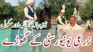 Best Horse Riders and Horse Riding School || UAF Tent Pegging Club