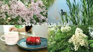 Living in Hungary 🇭🇺| Simple & Slow Living in the Countryside of Hungary