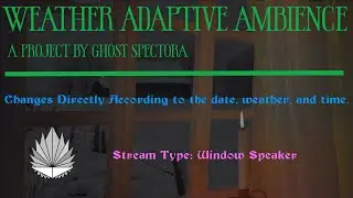 Cozy Reading Nook Sounds | Adaptive Ambience (Window Speaker)