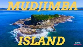 KAYAKING TO MUDJIMBA ISLAND (OLD WOMAN ISLAND)