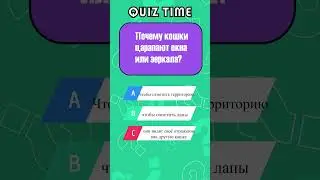 а ВЫ ЗНАЛИ Про ЭТО о Кошках??? | QUIZ TIME HERO На Русском