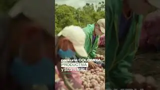 Mon&oacute;meros referente agroindustrial para Colombia