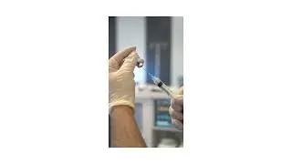 How anti venom is made