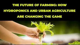The Future of Farming: How Hydroponics and Urban Agriculture Are Changing the Game