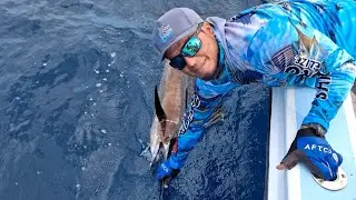 Sail Fish Catch & Release San Pedro Ambergris Caye