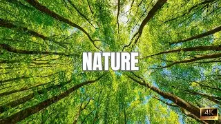 Rozzano and Basiglio in 4K | Nature, Parks and Lakes in the Surroundings of Milan