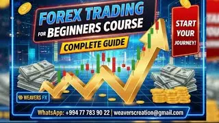 Forex Trading for Beginner Course