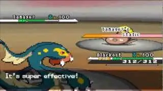 (#48) V.s. BlackSpottedZebra (NU) - Amplified Static