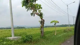 Lagu Pop Indonesia Terbaru & Terpopuler 2026 || Lagu Galau penuh kenangan
