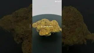 Hawaiian  Rain ☔️ by Cookies #ukmedicalcannabis #cookies #cannabiseducation #420