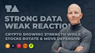 Weekly Market Recap - Feb 13, 2026 - Strong Data, Weak Reaction