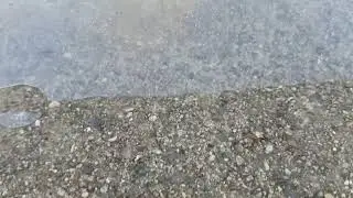 Satisfying Super Thin Ice Crunch