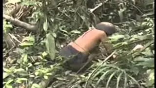 Yanomami
