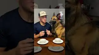 Dog Gives Wet Kisses...