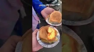 Allahabad university vlog 🕊️🏛️🪷