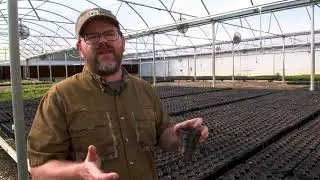 Nativ Nurseries