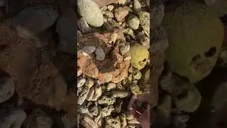 Seaglass picking  on Curacao beaches