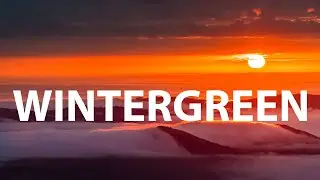 Wintergreen Resort | Virginia's Hidden Gem in Blue Ridge Mountains