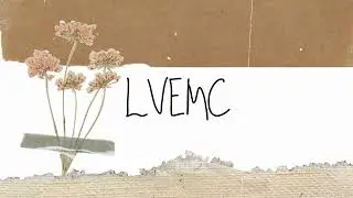 Alberto Vega - LVEMC (Video Lyric)