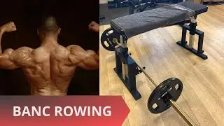 BANC ROWING PLANCHE - BENCH ROW SEAL PROFESSIONNEL