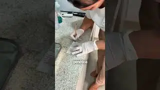 Todo mundo fala sobre teste gen&eacute;tico&hellip; mas voc&ecirc; realmente sabe o que ele diz sobre o seu corpo?