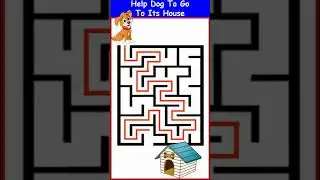 Help Dog To Reach its House - Simple Maze 43 #shorts | Brainy Games | ChikooBerry