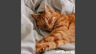 The Best Music For Cats