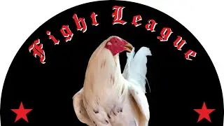 Game Fowl NNATION 2022