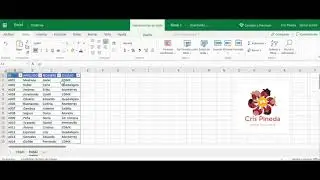 Filtros en Excel Online (Excel 365)