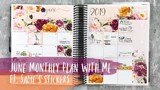 JUNE MONTHLY PLAN WITH ME | ft. sadie's stickers | erin condren neutral