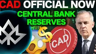 Канада правильно подходит к созданию стейблкоинов 🇨🇦💰 Центральные банки создают резервы для канад...