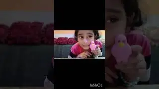 ama layi mere liye gift 🎁#muzaffarnagar #homereality