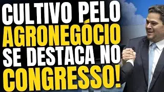 Cannabis Al&eacute;m do Medicinal: O Brasil Vai Entrar na Era do C&acirc;nhamo?